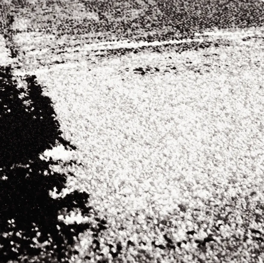 Tapete Wilton - Nesvik (cinza)