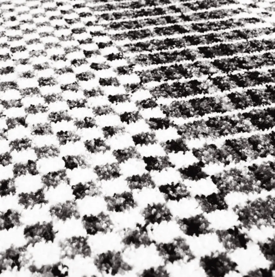 Tapete Wilton - Renous (cinza)