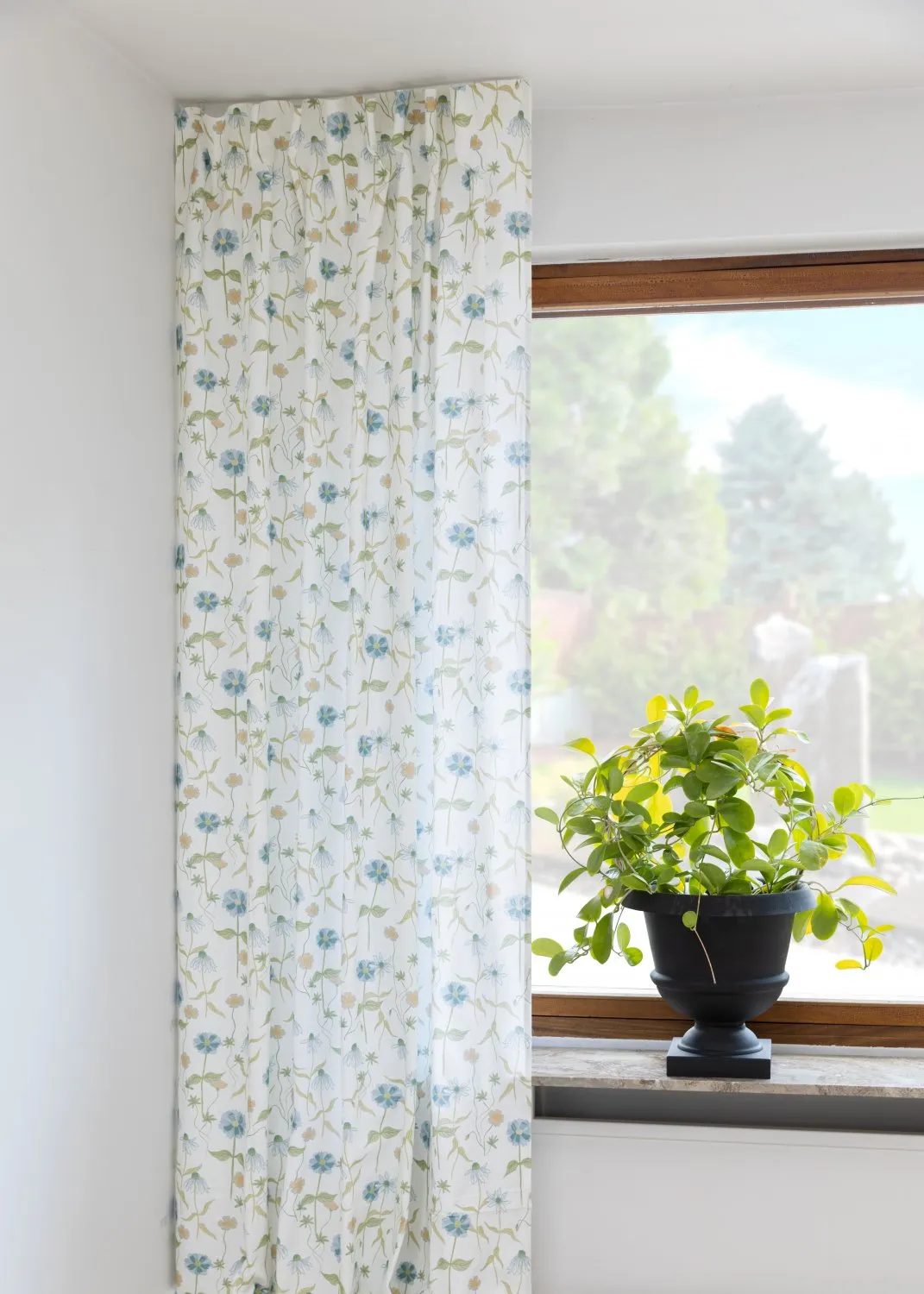 Cortinas - Cortina de algodão Sweetie (azul)
