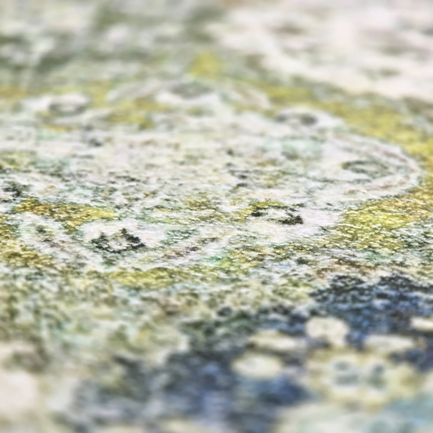 Tapete Wilton - Bohemia (verde/multi)