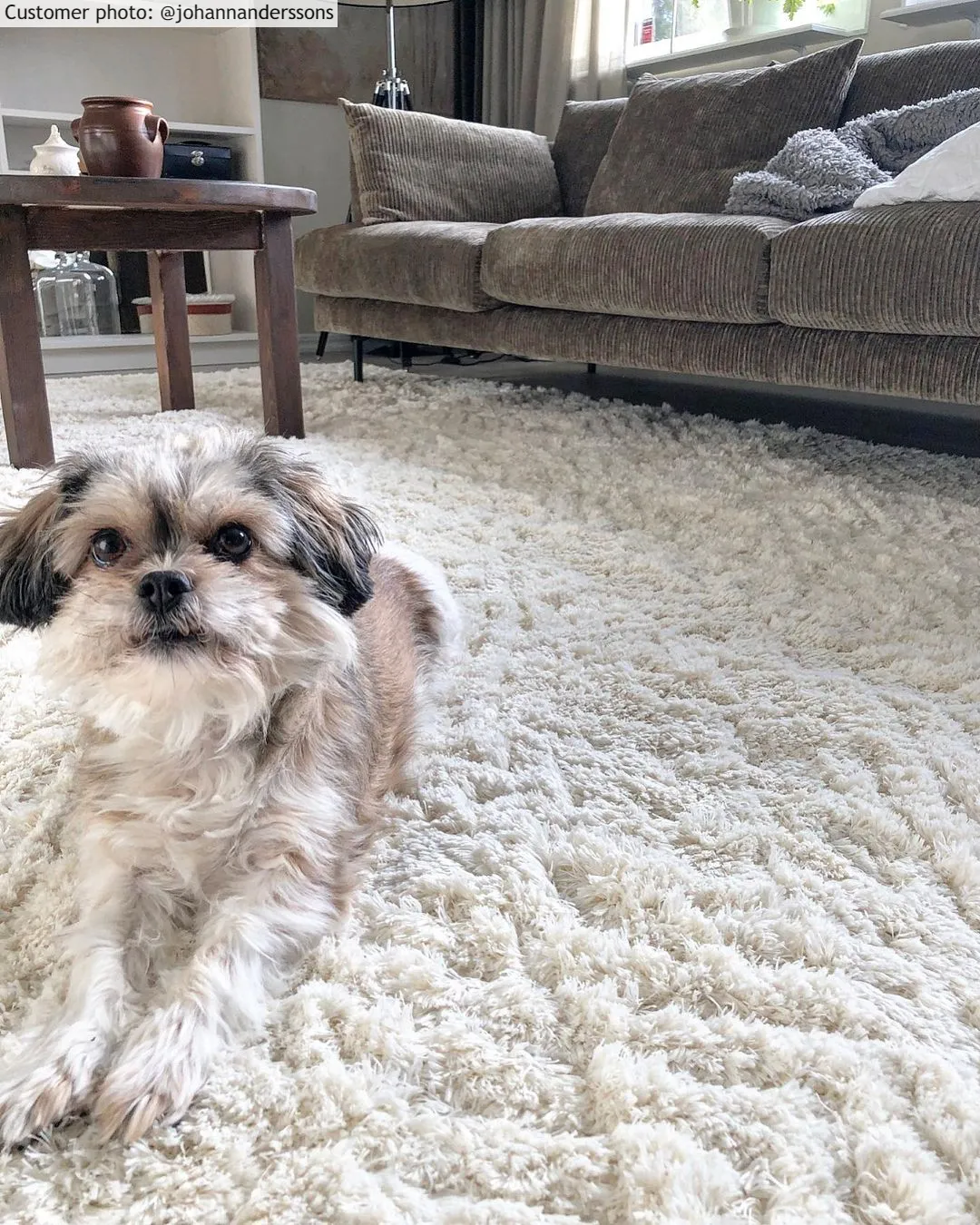 Tapetes felpudos - Stettin (offwhite)